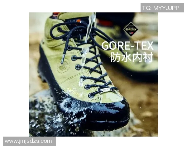 探索登山鞋品牌的选择与推荐助你征服高峰的最佳伴侣