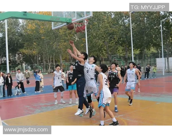 龙狮篮球俱乐部：奋勇拼搏展现青春风采的篮球梦想之旅