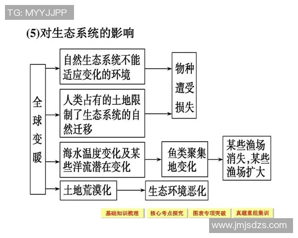 飓风与拉普拉塔体的较量：探讨两者在气候与生态中的影响与关系