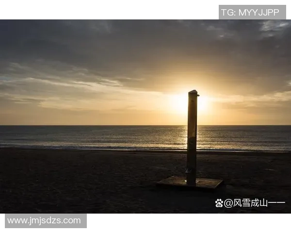 海滨之约探寻真谛于心灵深处的真实与信念