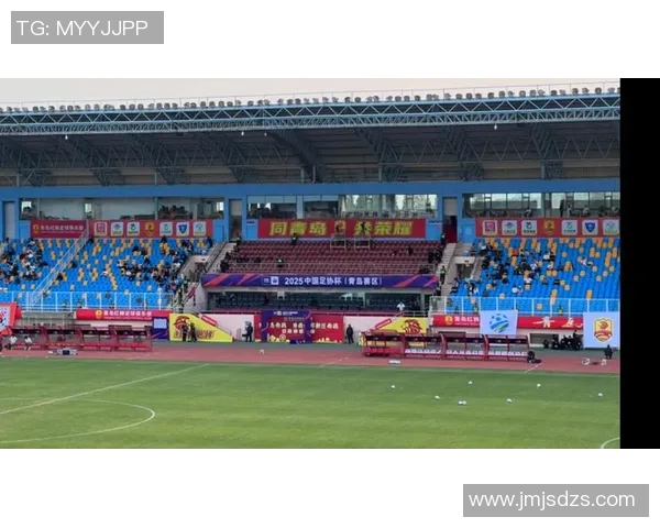 青岛天泰足球比赛精彩直播回放全程回顾与分析