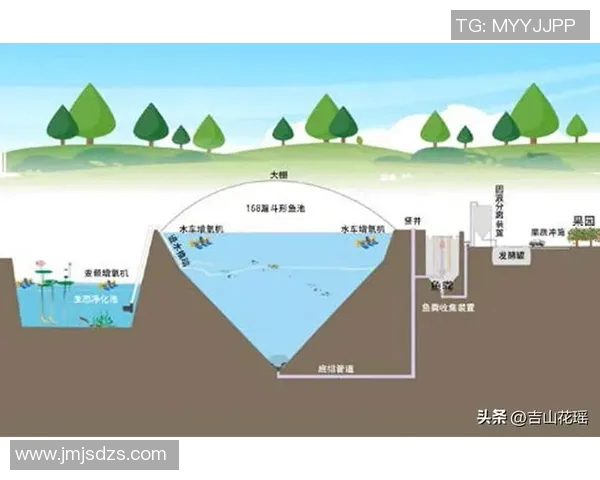 鸟栖砂岩与清水鼓动的对比分析与生态影响探讨