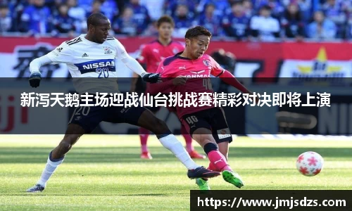 新泻天鹅主场迎战仙台挑战赛精彩对决即将上演